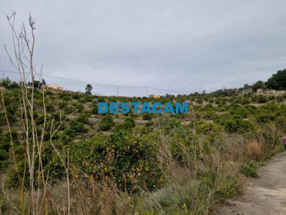 FINCA RUSTICA  EN ALICANTE,CALLOSA D EN SARRIà