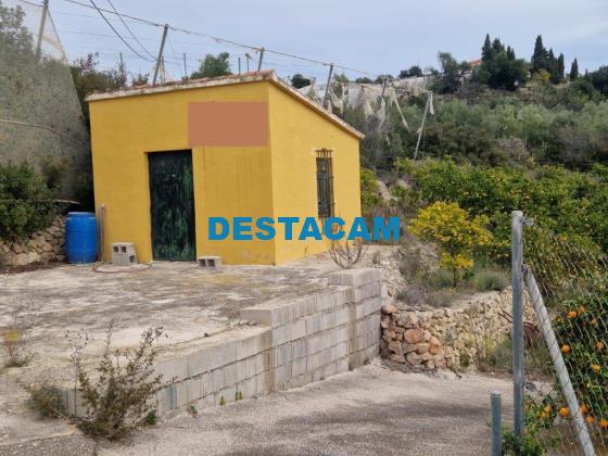 FINCA RUSTICA  EN ALICANTE,CALLOSA D EN SARRIà