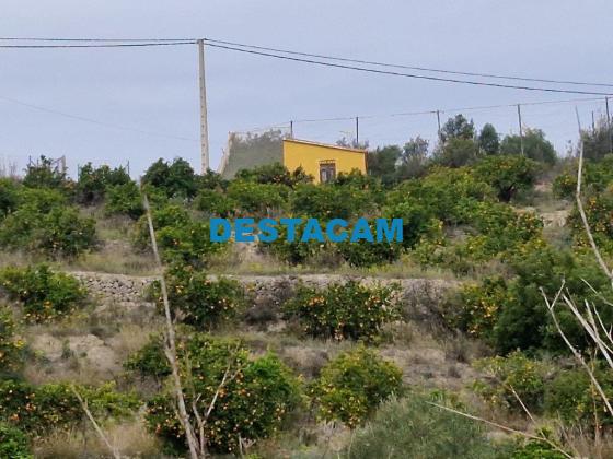 FINCA RUSTICA  EN ALICANTE,CALLOSA D EN SARRIà