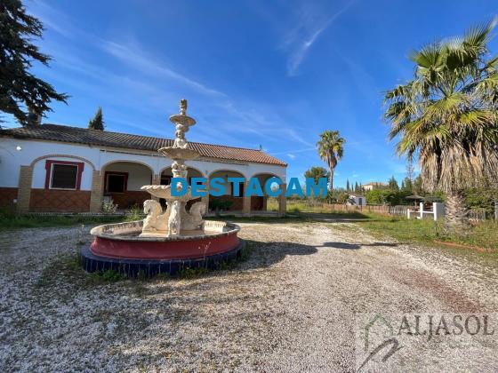 FINCA RUSTICA  EN SEVILLA,BOLLULLOS DE LA MITACIóN