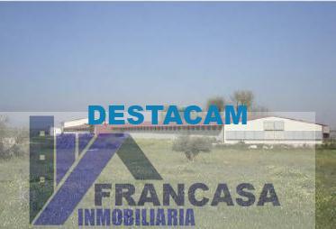 FINCA RUSTICA  EN CIUDAD REAL,HERENCIA