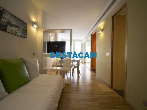 apartamento de 1 dormitorio en alquiler en Madrid Centro