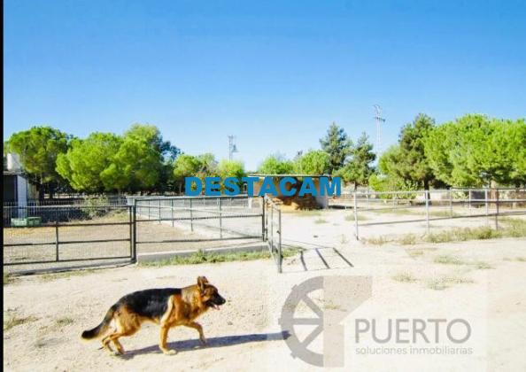 FINCA RUSTICA  EN MURCIA,LOS MARTINEZ DEL PUERTO