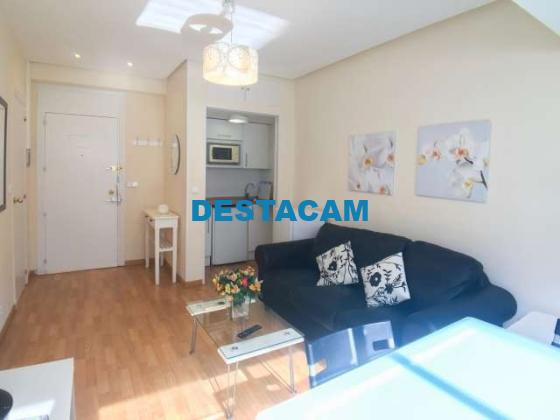 Amplio apartamento de 1 dormitorio en alquiler en Salamanca, Madrid