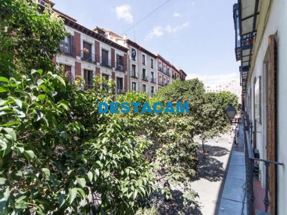 Se alquila habitación en apartamento de 8 dormitorios en Lavapiés, Madrid