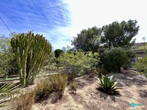 CHALET INDEPENDIENTE EN ALICANTE,ELCHE-ELX