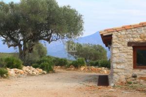 FINCA RUSTICA  EN CASTELLóN,SALSADELLA