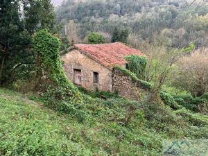 CASA  EN CANTABRIA,RIOTUERTO