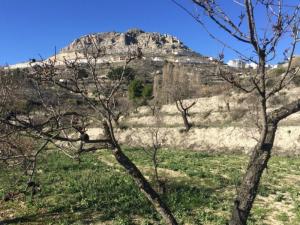 FINCA RUSTICA  EN ALMERíA,VéLEZ-BLANCO