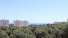 APARTAMENTO  EN ALICANTE,ORIHUELA COSTA