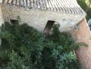 CASA EN VALLFOGONA DE RIUCORB