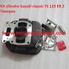 KIT DE CILINDRO PARA SUZUKI CLASSIC TS 125 ER 2 TIEMPOS MOD-437645